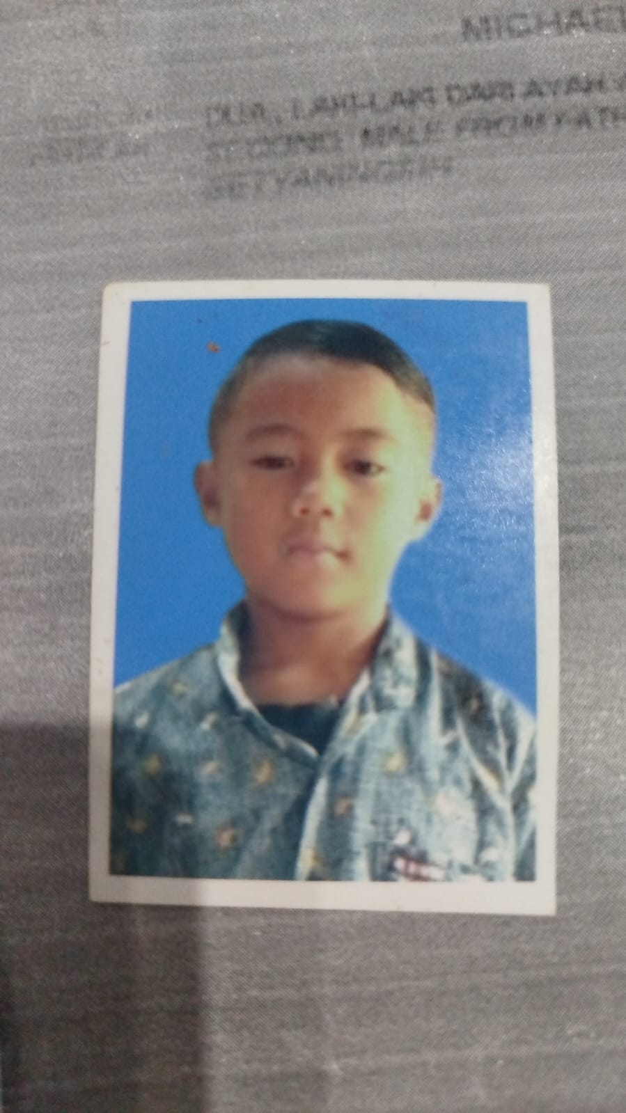 michael hiwang pradesta